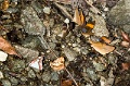CRW_2679