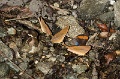 CRW_2680