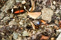 CRW_2683