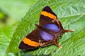 CRW_3586