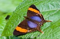 CRW_3587