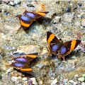 CRW_3589