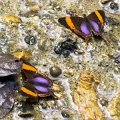 CRW_3591