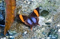 CRW_3595