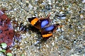 CRW_3596