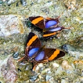 CRW_3597