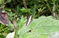 CRW_3772+