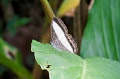 CRW_3774+