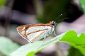 CRW_3907