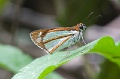 CRW_3908