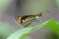IMG_3910e
