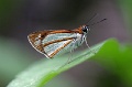 IMG_3911_edited