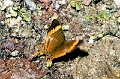 CRW_4059