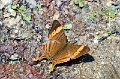 CRW_4060