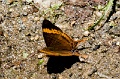 CRW_4062