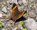 CRW_4063