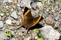 CRW_4064