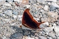 CRW_4230