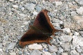 CRW_4234