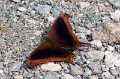 CRW_4234a