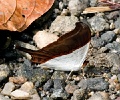 CRW_4266