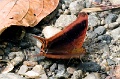 CRW_4269