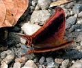 CRW_4270