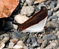 CRW_4271