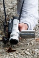 CRW_4319