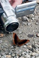 CRW_4333