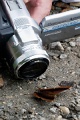 CRW_4335