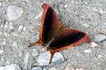 CRW_4382