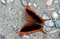 CRW_4394