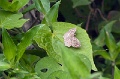 CRW_5002