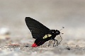 IMG_4999_edited