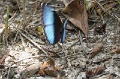 IMG_5144_edited