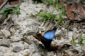 IMG_5146_edited