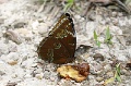 IMG_5149_edited