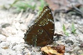 IMG_5151_edited