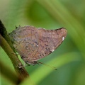 IMG_5299_edited