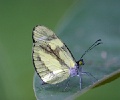 IMG_5573_edited
